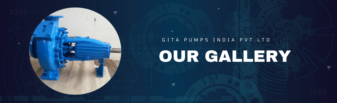 Gita Pumps
